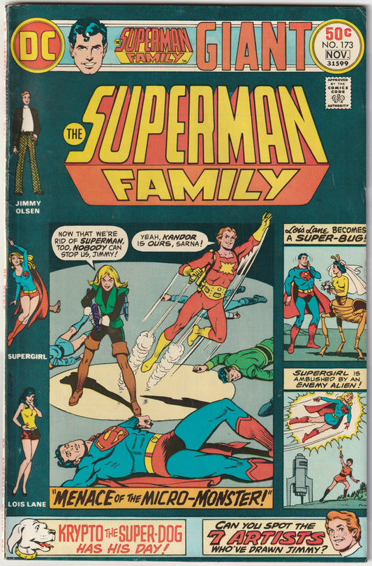 Superman Family Vol. 1 #173 (1975) – Key Nightwing and Flamebird Story (FN+)