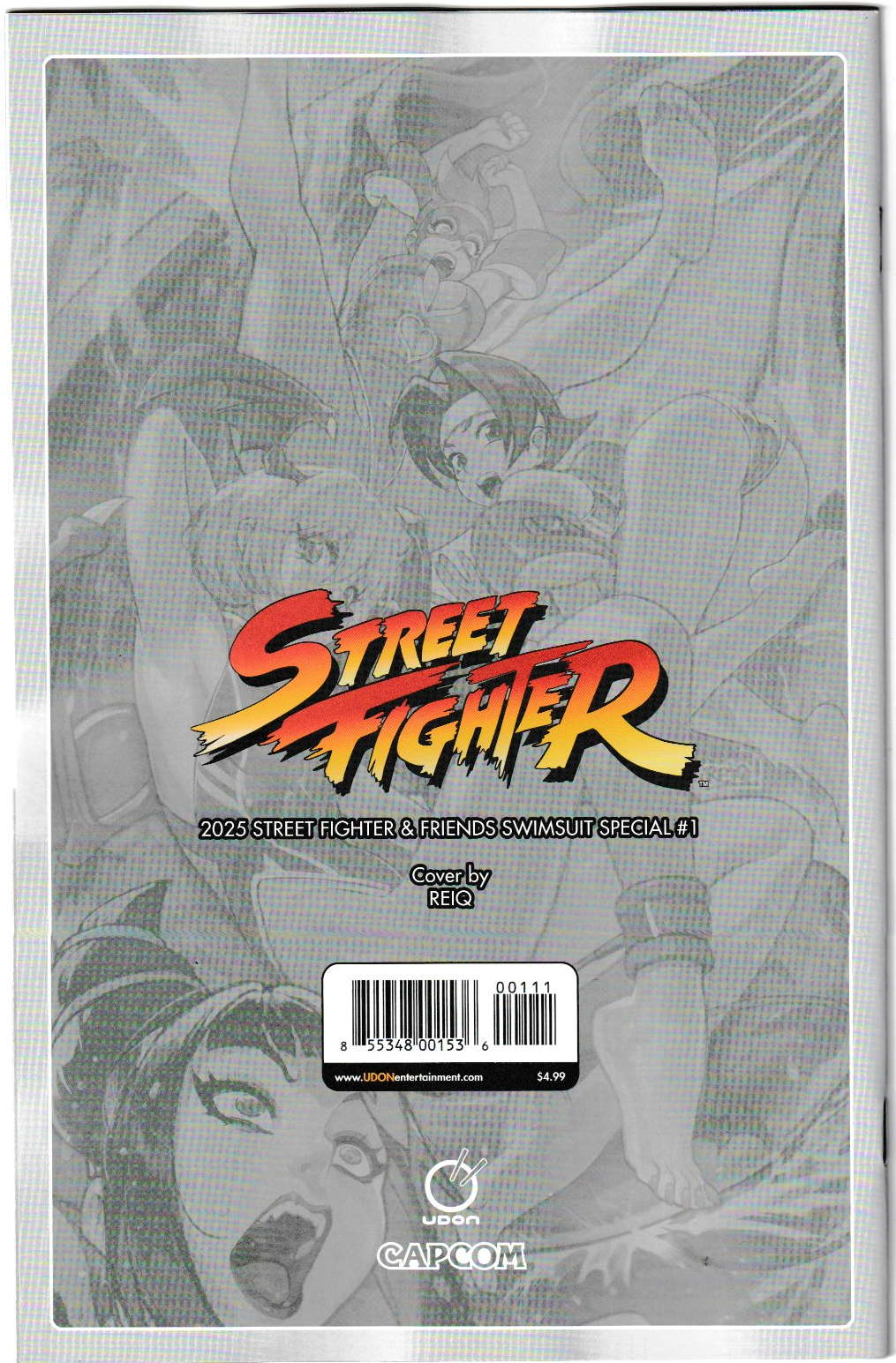 2025 Street Fighter & Friends Swimsuit Special #1 Cover A REIQ Cover