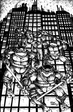 Teenage Mutant Ninja Turtles #20: 300th Issue Cover H 1:25 Incentive Bundle [2 Book Bundle]