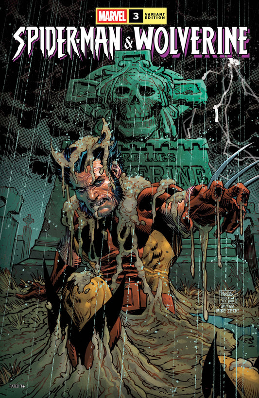 Spider-Man & Wolverine #3 Dan Panosian Variant VF/NM-