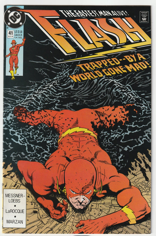 The Flash, Vol. 2 - #41