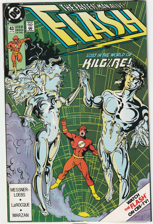 The Flash, Vol. 2 - #43