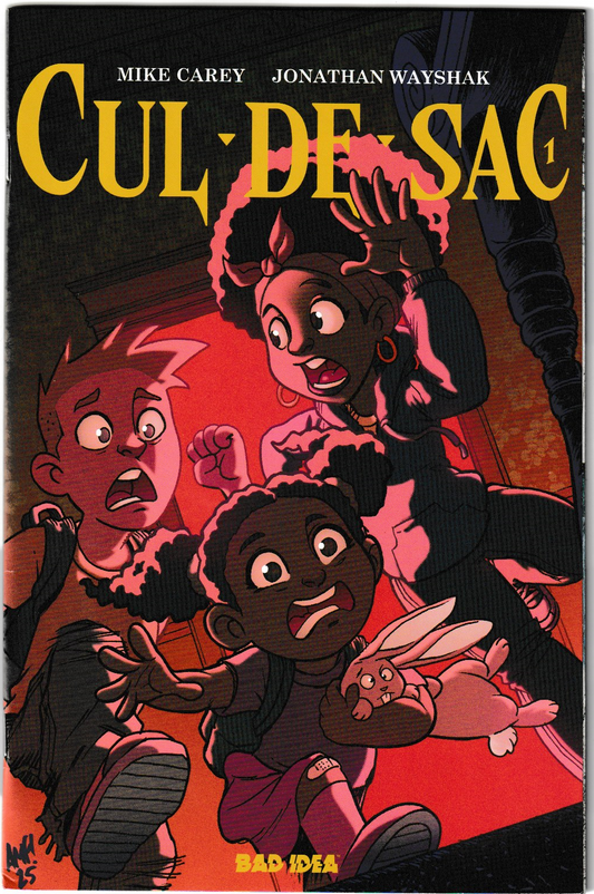 Cul De Sac #1 (of 4) CVR B Tony Fleecs Cursed Mirror Variant