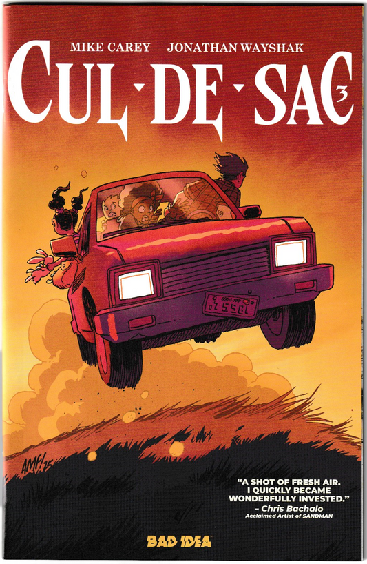 Cul De Sac #2 (of 4) CVR B 1st Print Tony Fleecs Cursed Mirror Variant