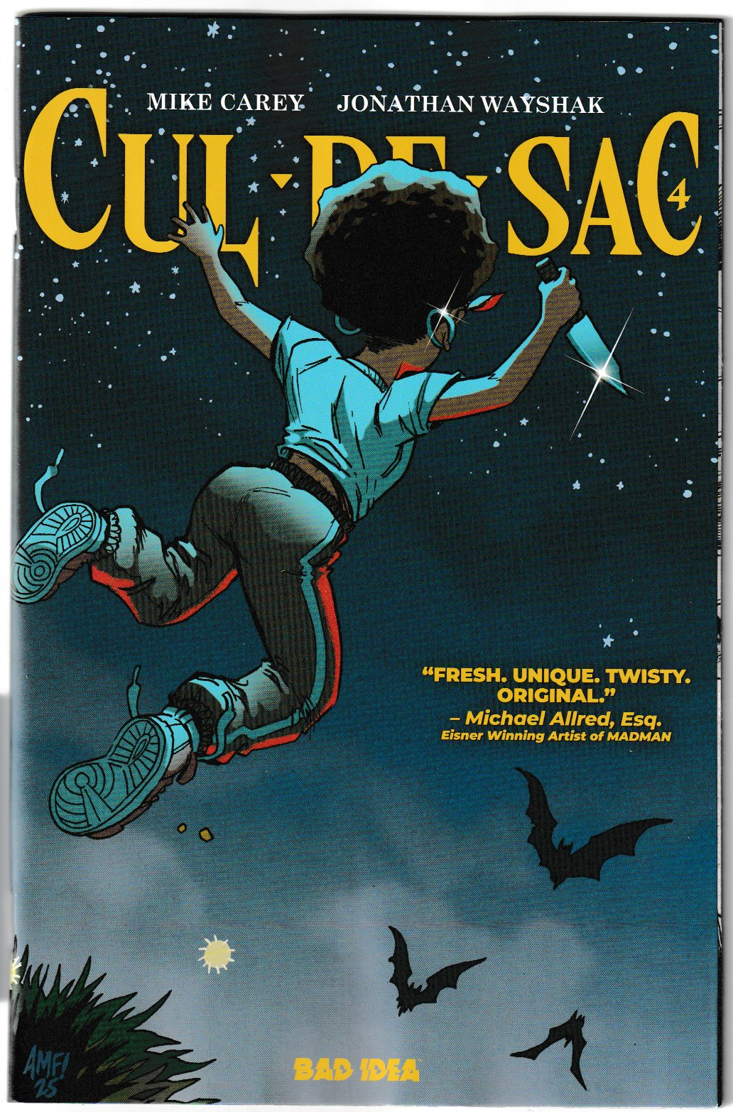 Cul De Sac #4 (of 5) CVR B 1st Print  Tony Fleecs Cursed Mirror Variant