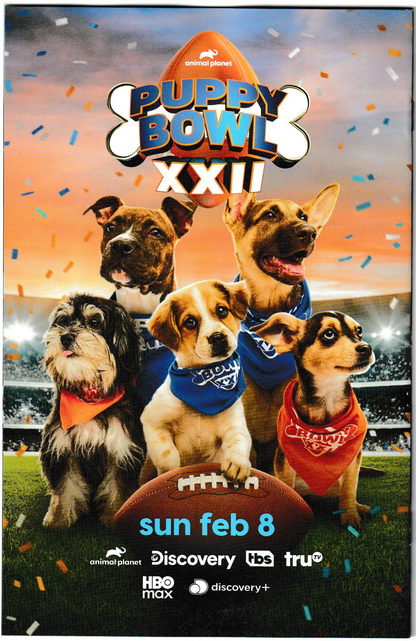 HARLEY QUINN #58 CVR E HAINING SWEATER WEATHER CARD STOCK VAR